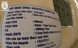 Có một nguồn cung rau an toàn dồi dào cho nội thành Hà Nội